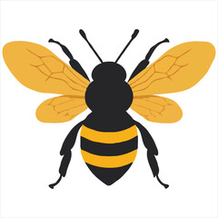Bee with different facial expressions