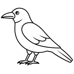 illustration of a bird