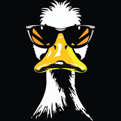 Duck vector on a white background