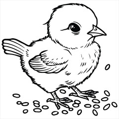 bird vector on a white background