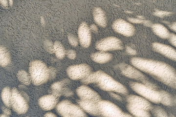 The morning sun illuminates the wall, casting shadows on the surface.The shade of tropical leaves.Abstract shadow background made of natural leaves, tree branches with space to copy.High quality photo