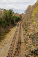 Fototapeta premium railway tracks in the forest shot in halifax nova scotia in spring 