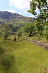 Dry Stone Wall down to Blea Tarn.