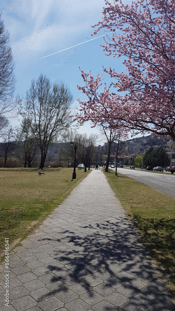 Canvas Prints alley in the park