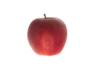 Red apple fruit on white background