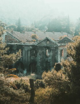 Abandoned hotel in Kupari surrounded by lush vegetation. Croatia
