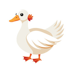 waterfowl muscovy duck vector