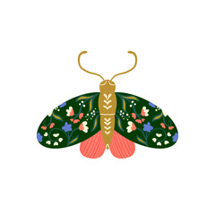 Green Floral Decorated Butterfly. Illustration of The Insect. Natural Ornate Animal.
