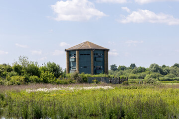 London wetlands with bird tower visible on sunny day