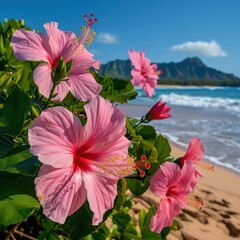 Hibiscus Flowers Blooming on a Beach