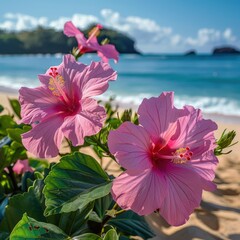 Pink Hibiscus Flowers Blooming on a Beach