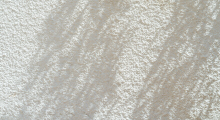 White wall with shadow of a tree branch with leaves background texture