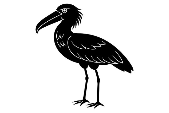 recommend clip art: Shoebill silhouette vector, Shoebill Bird