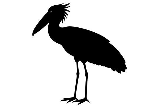 recommend clip art: Shoebill silhouette vector, Shoebill Bird