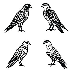 kestrel silhouette vector art illustration design