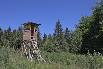 Hochstand im Wald