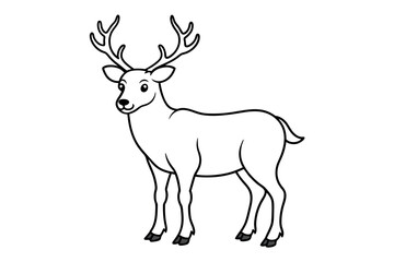 deer illustration