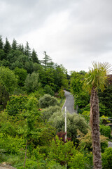 Road in the mountains.