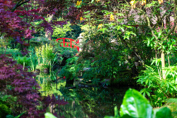 A peaceful Japanese garden.
