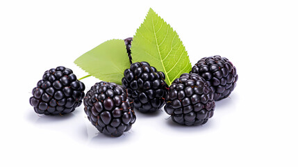blackberry isolated on white background