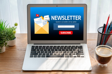 newsletter signup page on computer for customer to subscribe snugly newsletter update information to subscriber