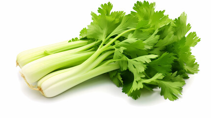 celery isolated on white background