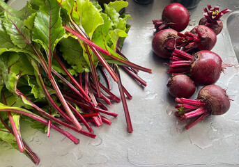 Freshly harvested and rinsed beetroot plants on a stainless steel kitchen bench with their leaves...