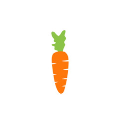 Carrot illustration