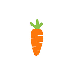 Carrot illustration