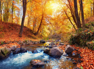 Panoramic autumn landscape with forest stream. Fall nature background. Panoramic autumn land 