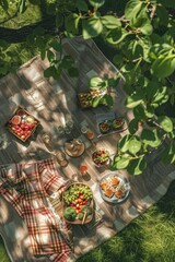 Picnic on Grass