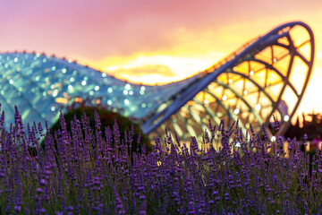  The Bridge of Peace over the Kura River in Tbilisi, Georgia. © EnginKorkmaz