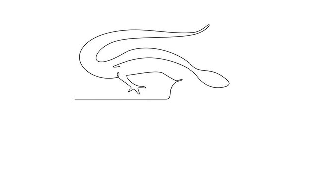 Animated self drawing of alligator lizard video design illustration. Type of Lizard animal themes design concept with simple linear style. Lizards are reptiles with scaly skin, four legs, and a tail