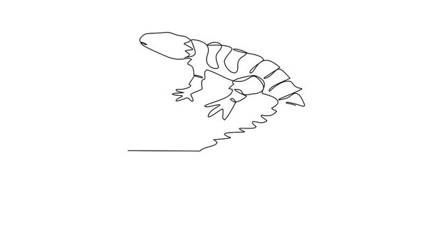 Animated self drawing of armadillo lizard video design illustration. Type of Lizard animal themes design concept with simple linear style. Lizards are reptiles with scaly skin, four legs, and a tail
