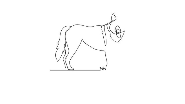Animated self drawing of skimo dog video design illustration. Type of Dog themes design concept with simple linear style video. Dogs are domesticated mammals, loyalty and companionship to humans.
