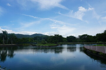 Naklejka premium flor, aves, patos, piragua, carro de piragua, dulce, boricua, piragua ventas