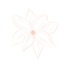 Flower light pink color sketch illustration