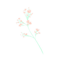 Light green twig with light pink flowers in flat style sketch illustration