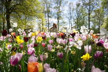 Girl in Keukenhof flower park, Netherlands with tulips in the background
