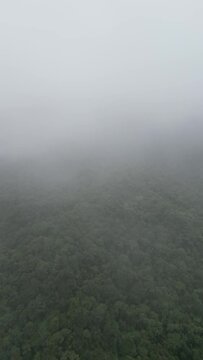 Aerial video over Mindo Cloud Forest, Ecuador