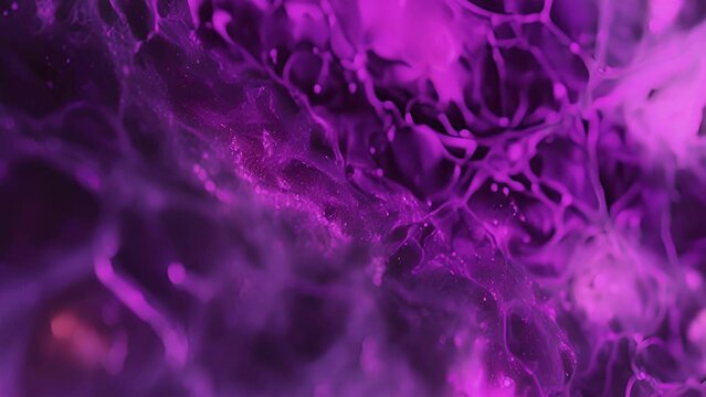 A highresolution animation of apical meristem cells in the process of differentiating into specialized tissue.