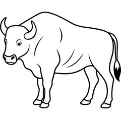 rhino vector illustration