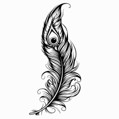 A feather with a large eye in the center. The feather is black and white. The feather is the main focus of the image