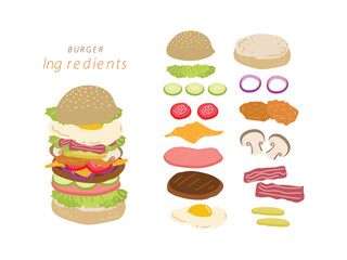 Burger Ingredients Illustration