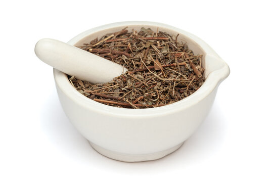 Close-up of Dry Organic Bhumi amla (Phyllanthus niruri) leaves, in white ceramic mortar and pestle, isolated on a white background.