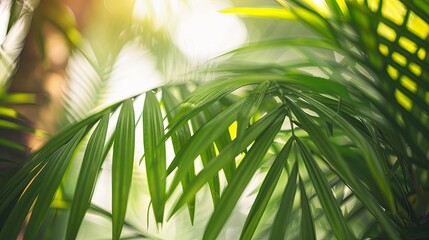 Green tropical plant close-up