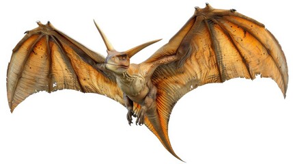 Fototapeta premium Pterodactyl in flight with wings spread wide, detailed and realistic. Prehistoric flying dinosaur concept
