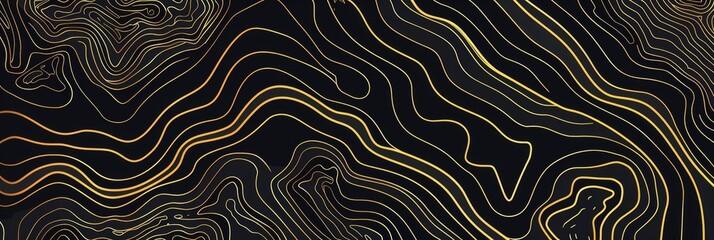 Topographic line map pattern background vector illustration with dark black and gold colors, topographical lines.