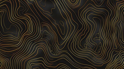 Topographic line map pattern background vector illustration with dark black and gold colors, topographical lines.
