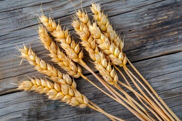 A bunch of wheat on a wooden table. The wheat is yellow and has brown tips